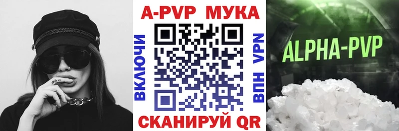 A PVP СК КРИС  Советск 
